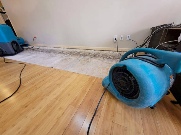 Professional Water Extraction technician working in Needles, CA